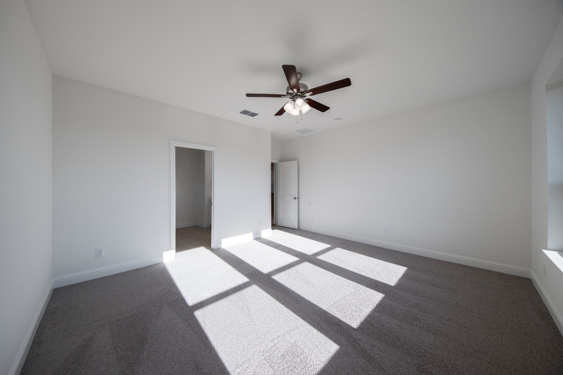primary bedroom with carpet and windows