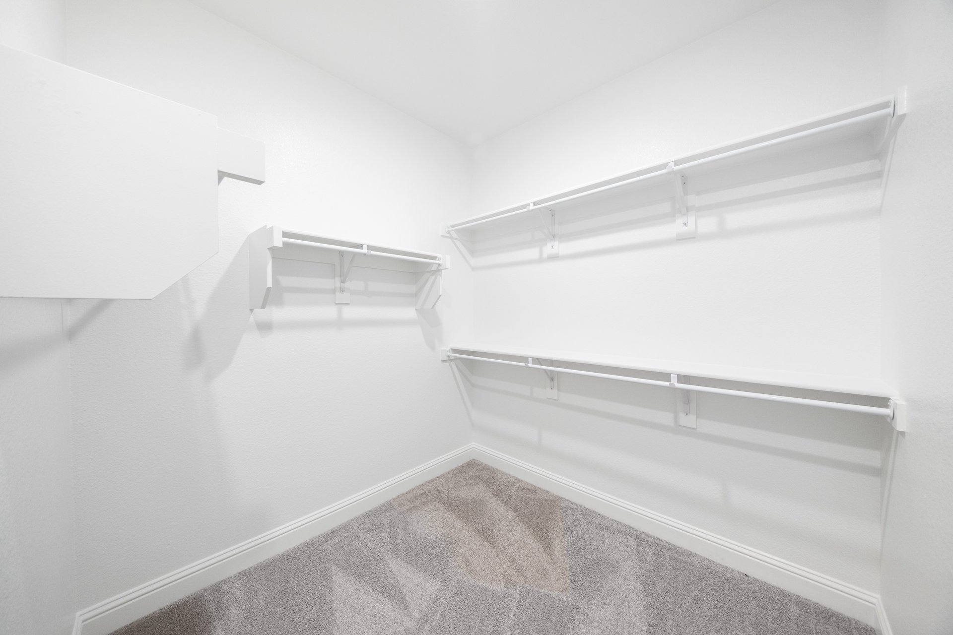 primary bedroom closet with carpet and white shelves