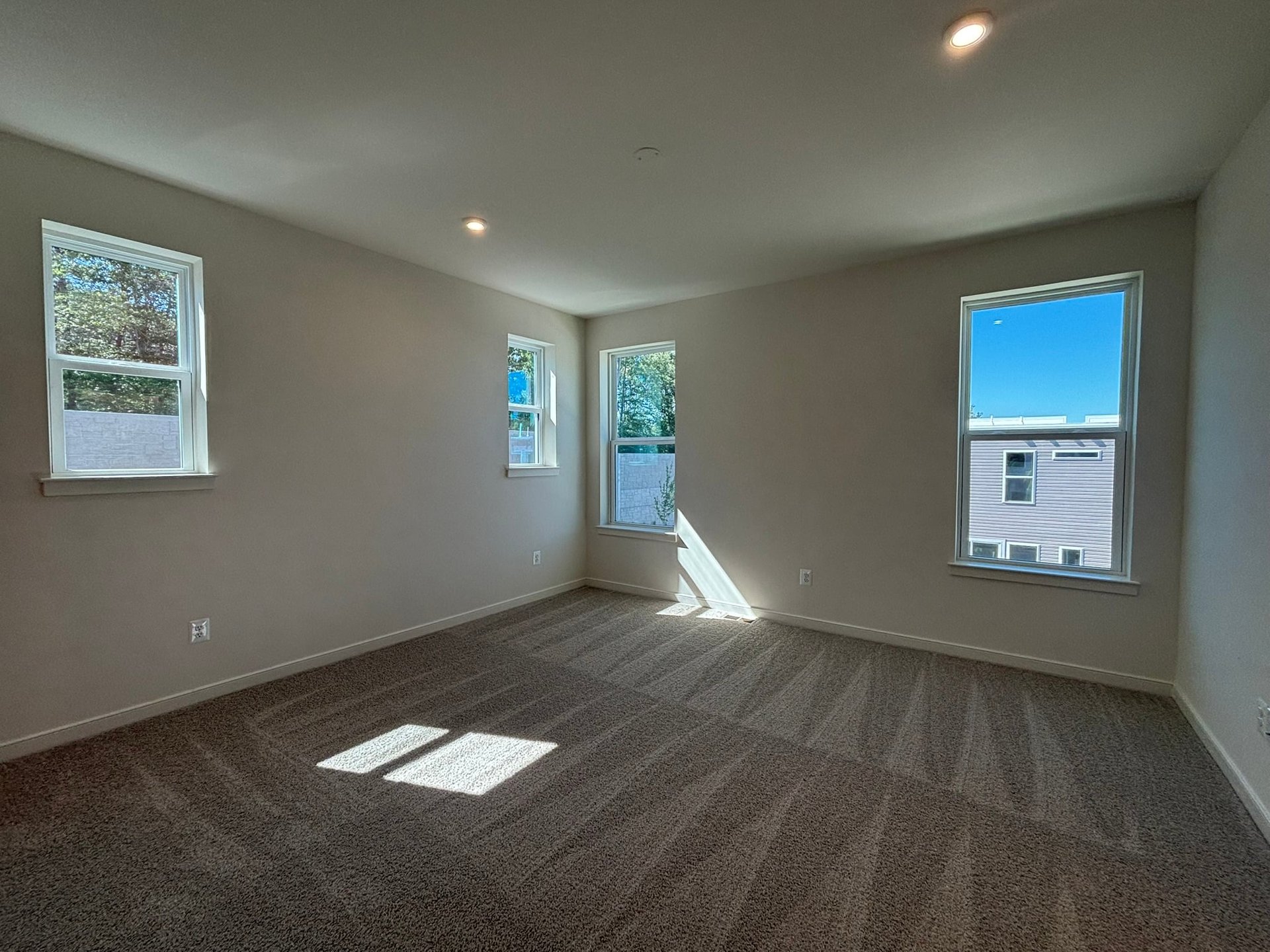 primary bedroom with carpet and four windows