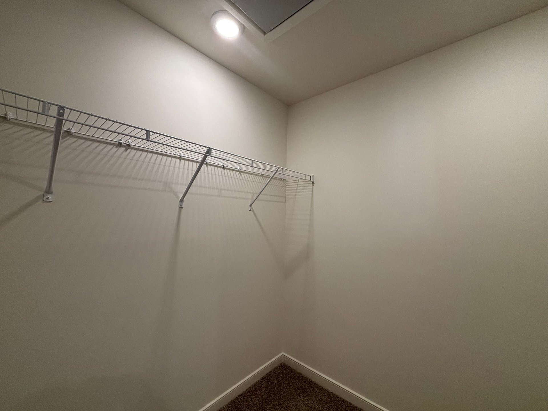 walk-in closet with wire shelving