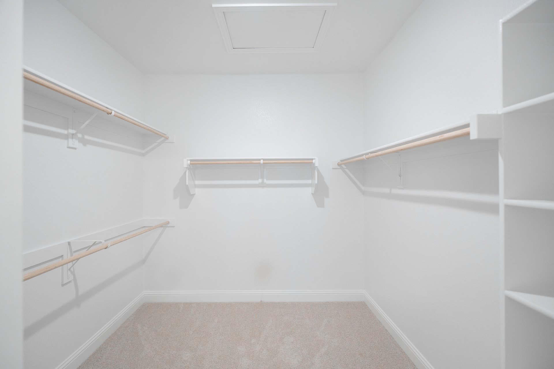 primary bedroom closet with carpet and white shelves