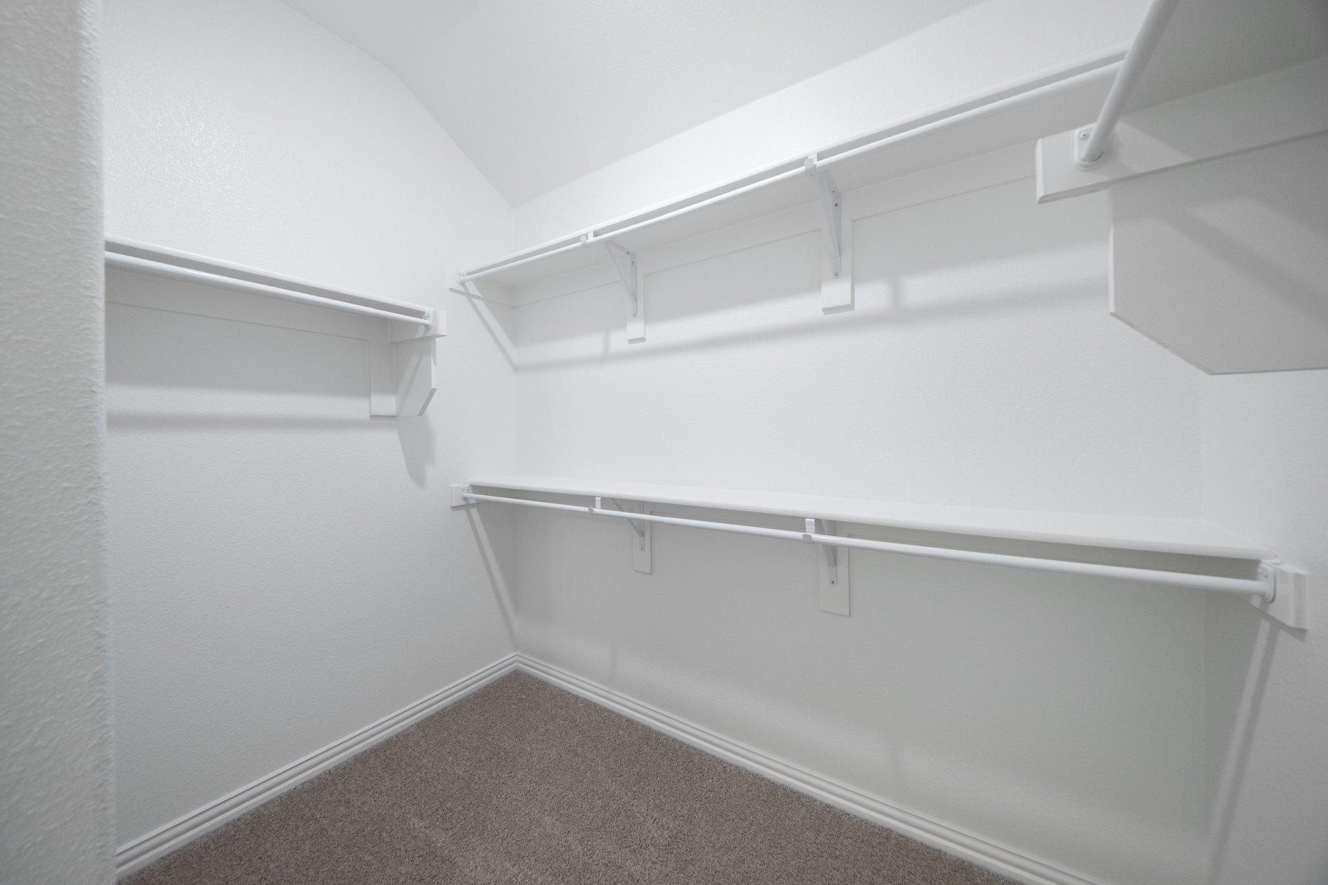 primary bedroom closet with carpet and white shelves