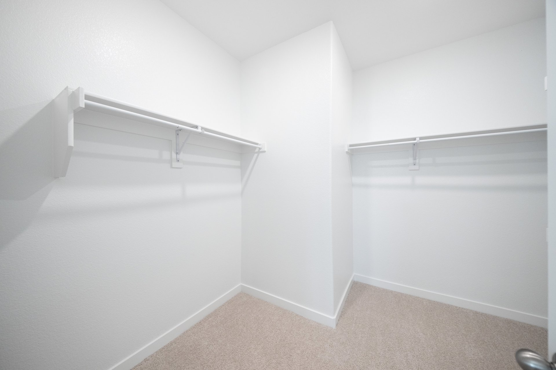 closet with carpet and hanging racks