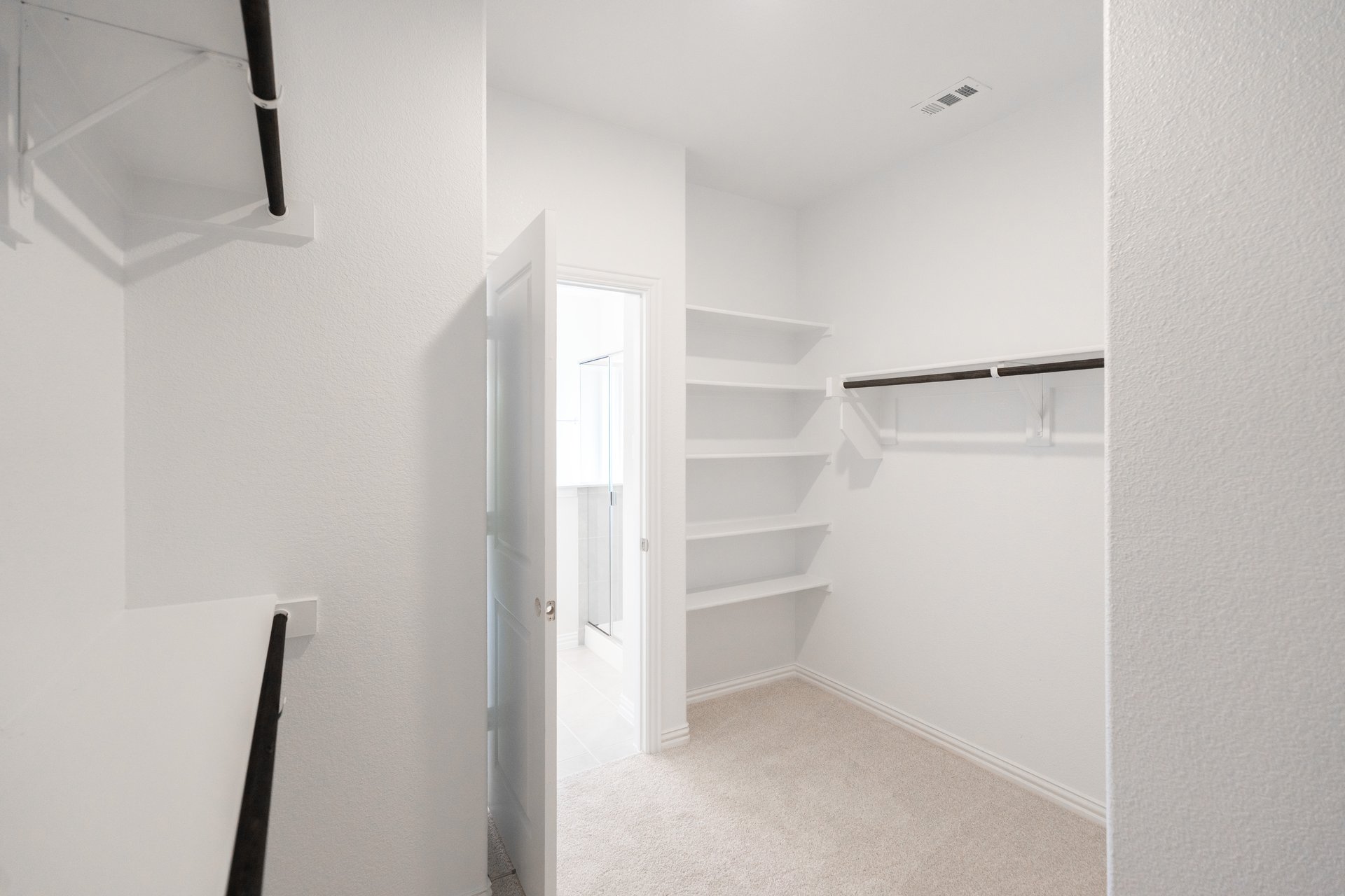 closet with carpet and shelves