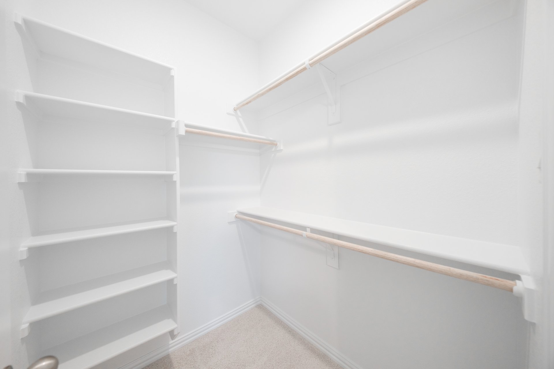 primary bedroom closet with carpet and white shelves