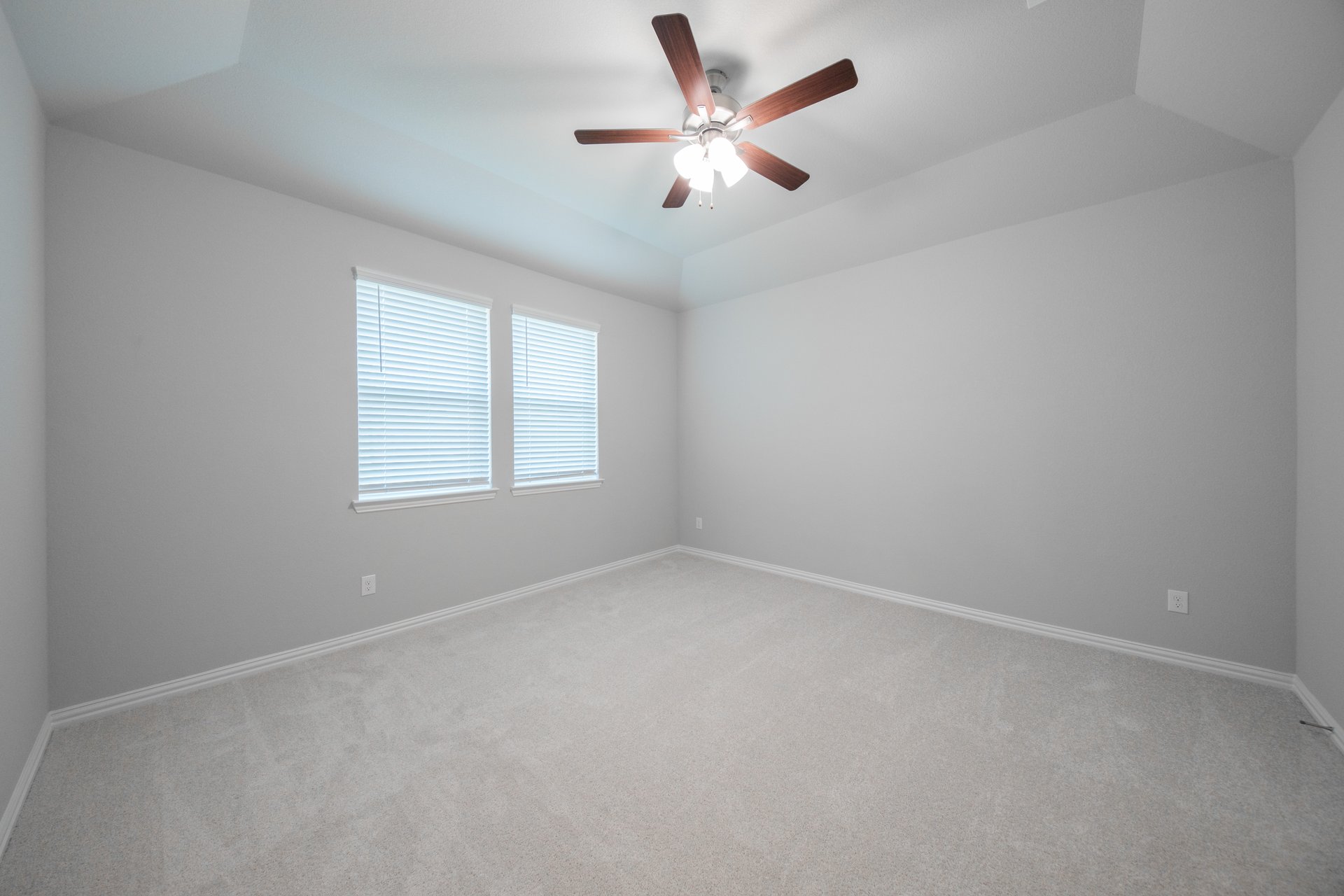 primary bedroom with carpet and windows