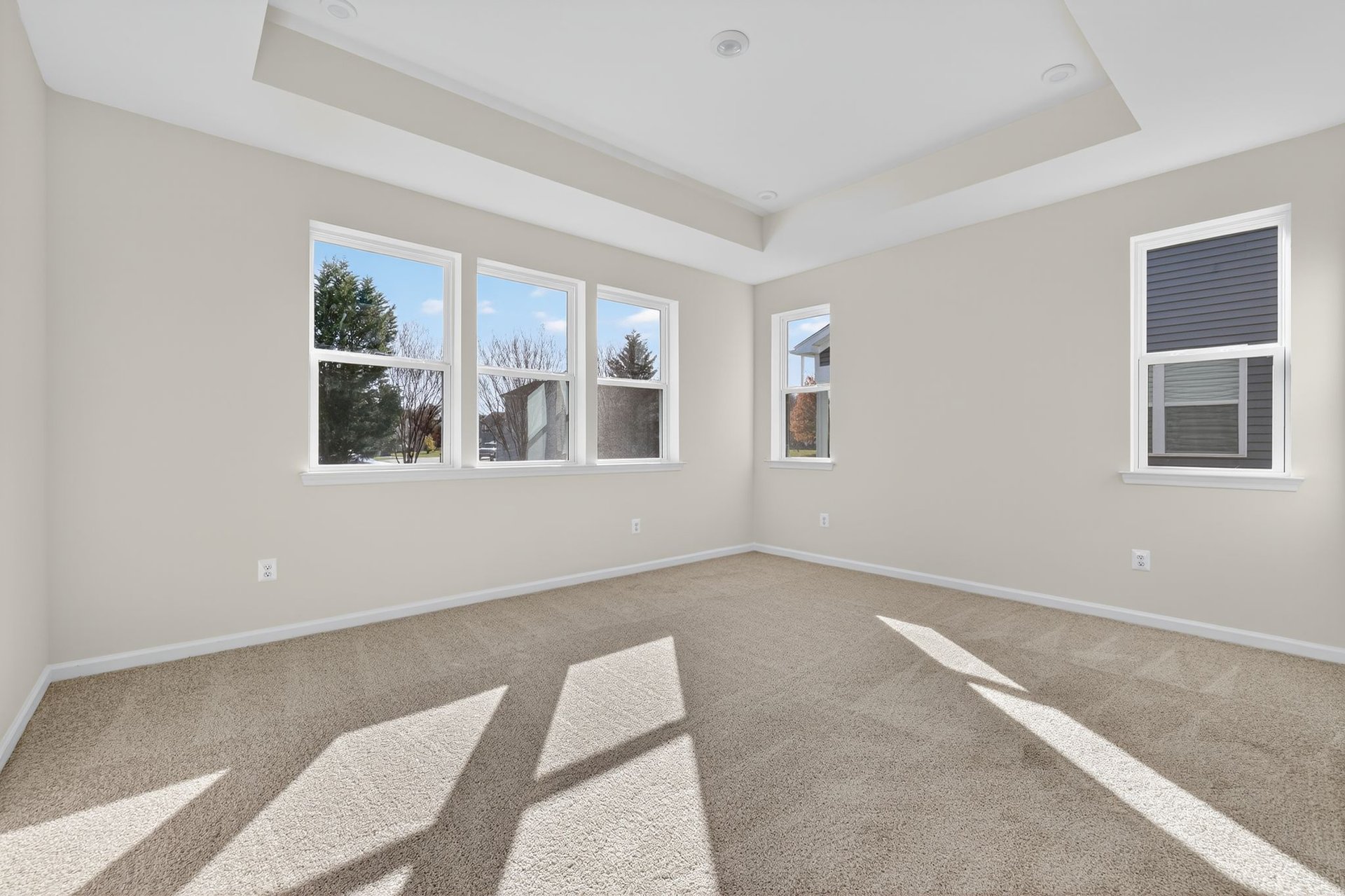 primary suite with a box ceiling and carpet