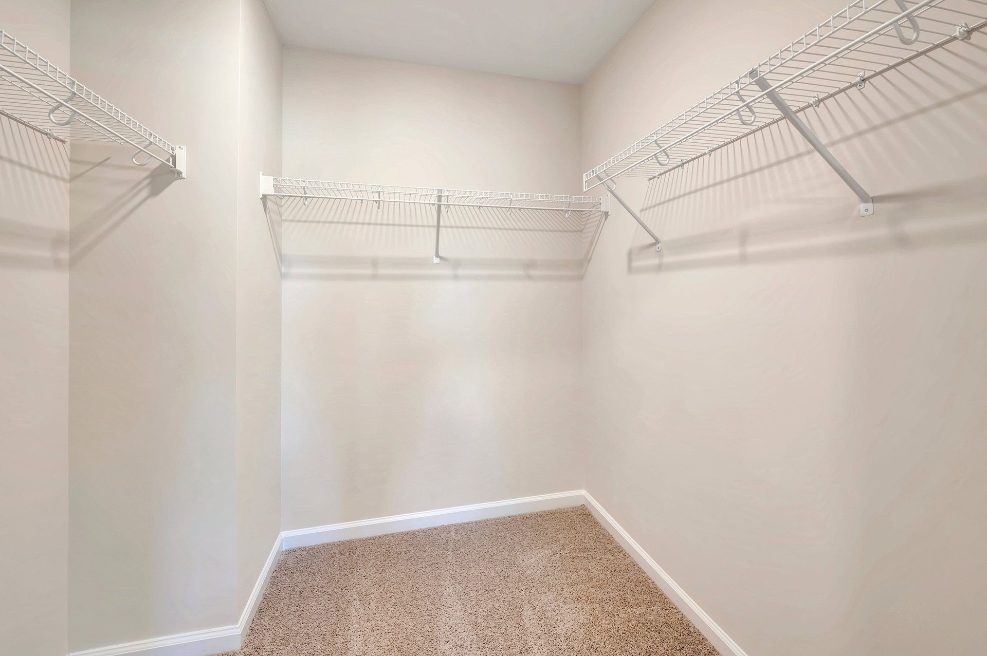 primary walk-in closet with carpet