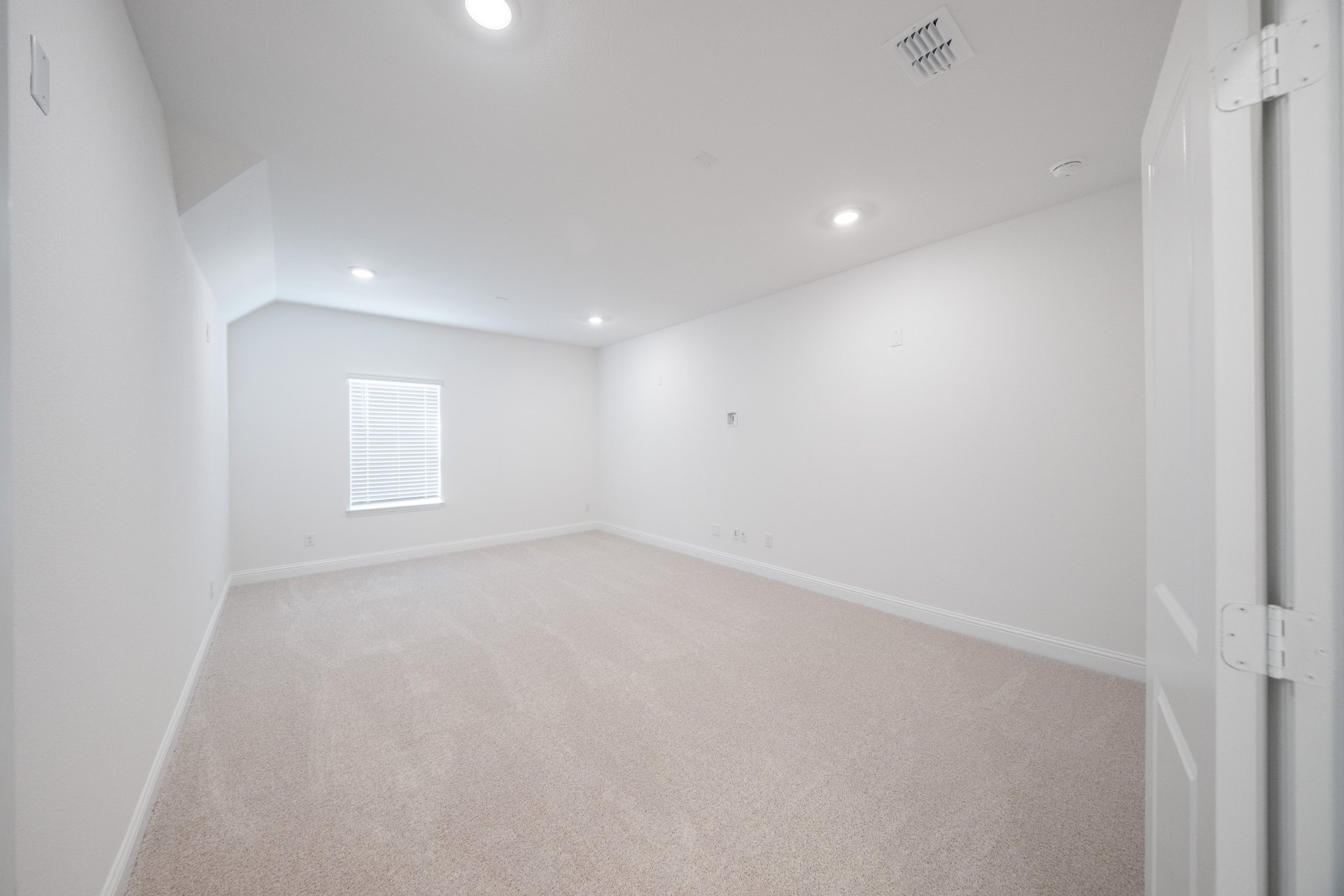 spacious media room with carpet
