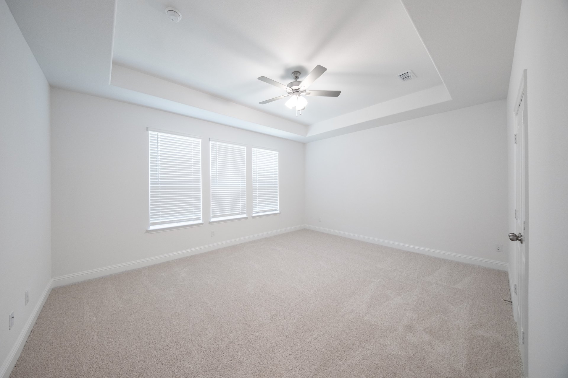 open primary bedroom with carpet and windows