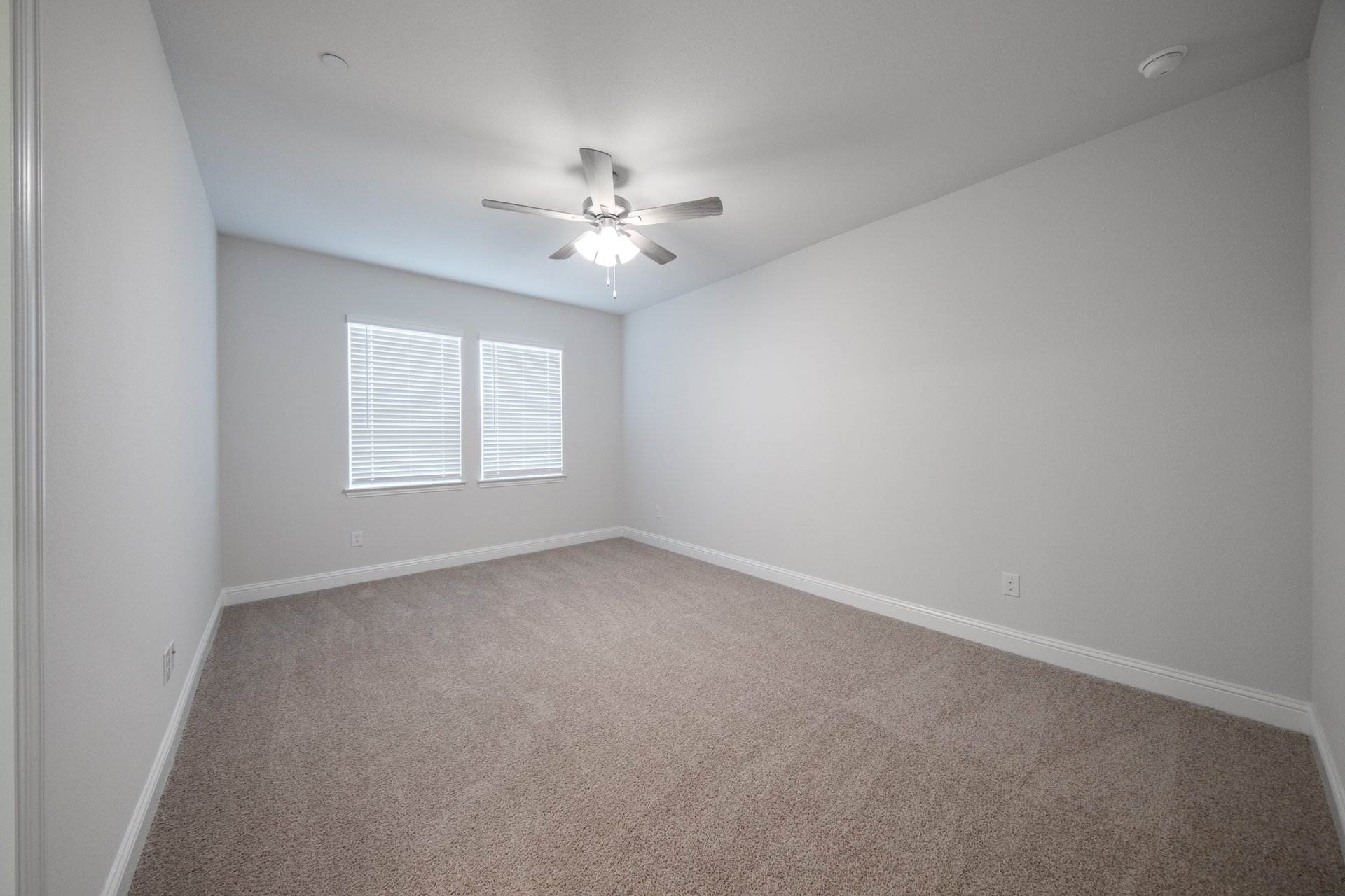 spacious primary bedroom with carpet and windows