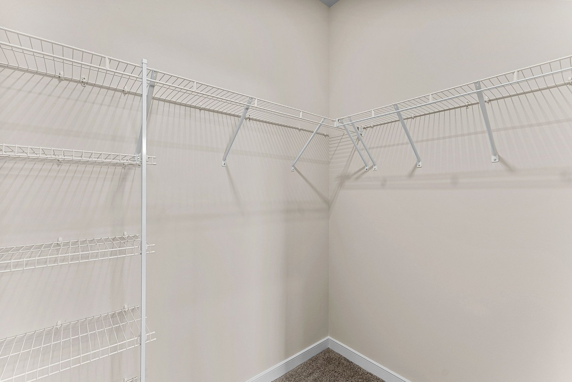 primary closet with wire shelving and carpet