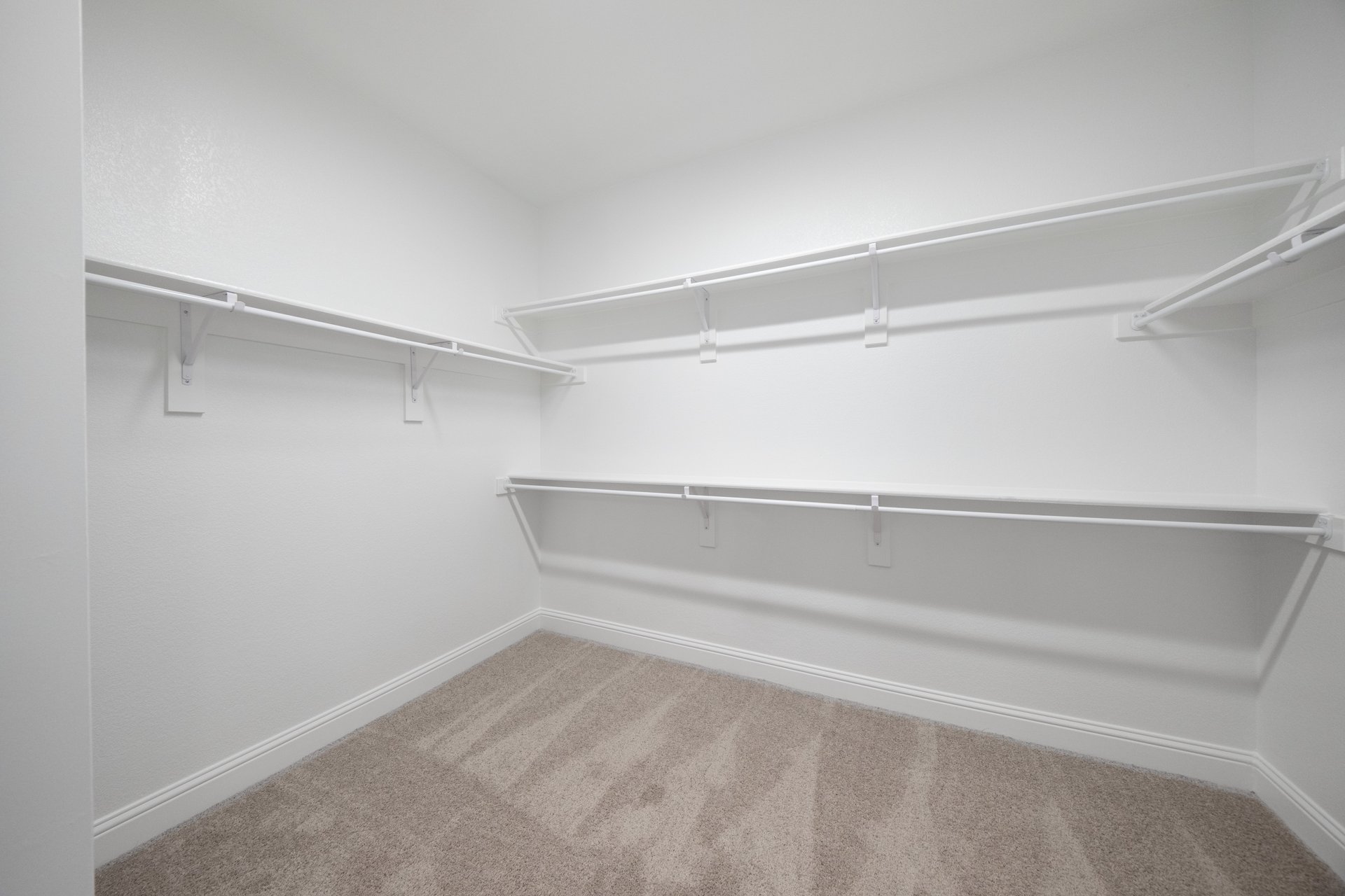 closet with hanging racks and carpet 
