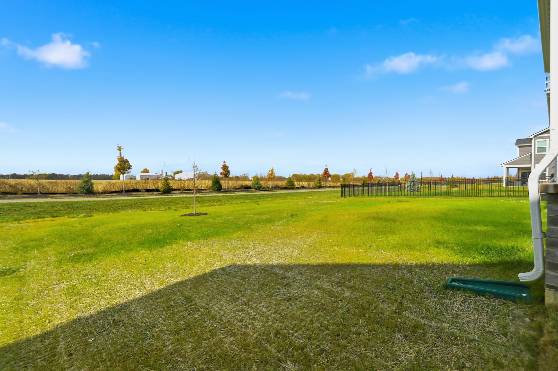 backyard with green grass overlooking a walking path