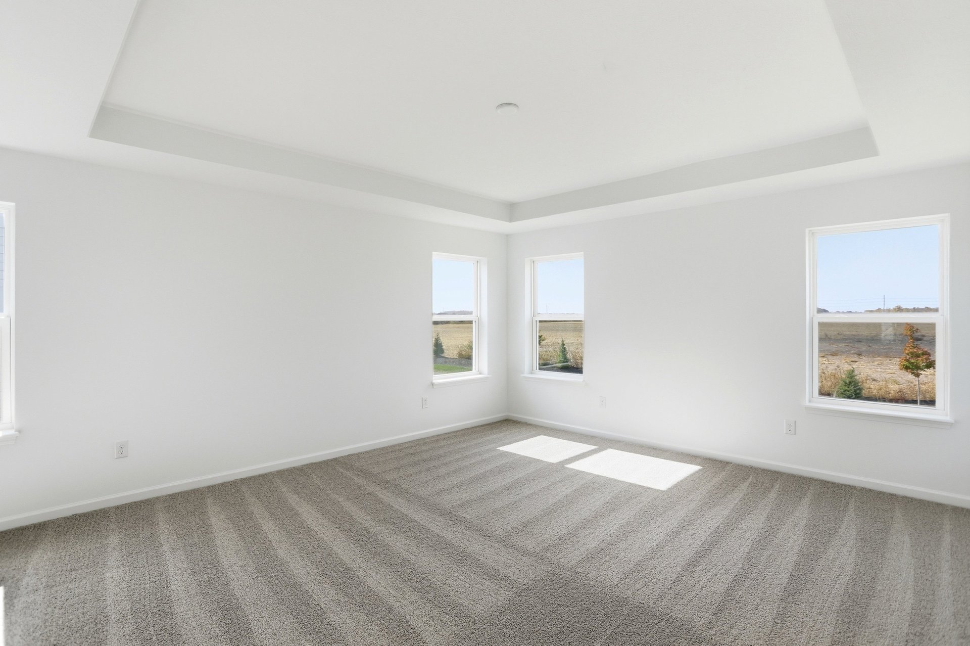 bedroom with white walls and a tray ceiling