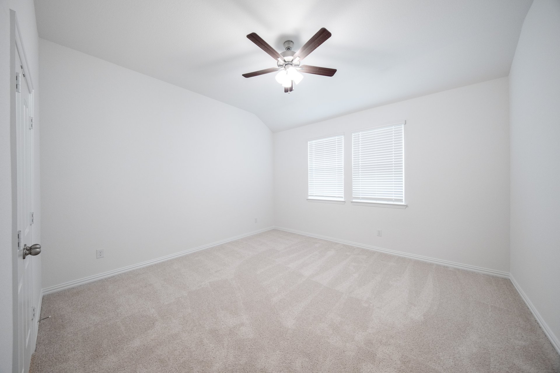 primary bedroom with carpet and windows