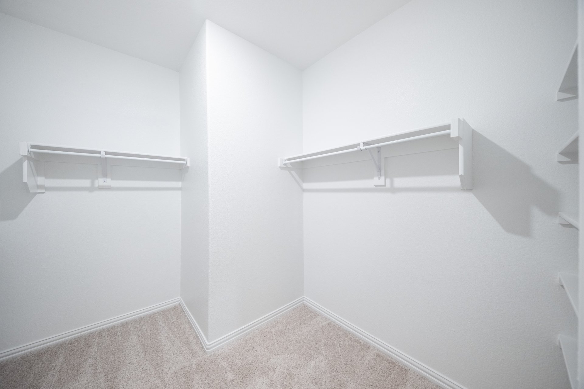 primary bedroom closet with carpet and white shelves
