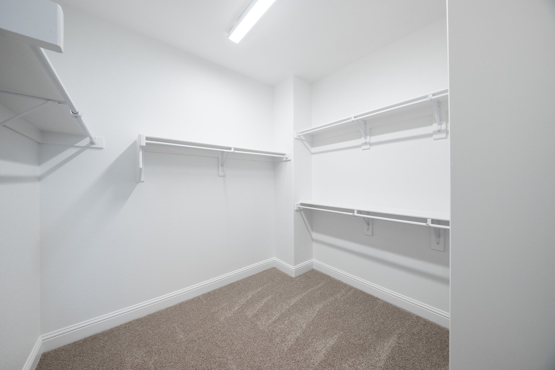 closet with carpet and hanging racks 