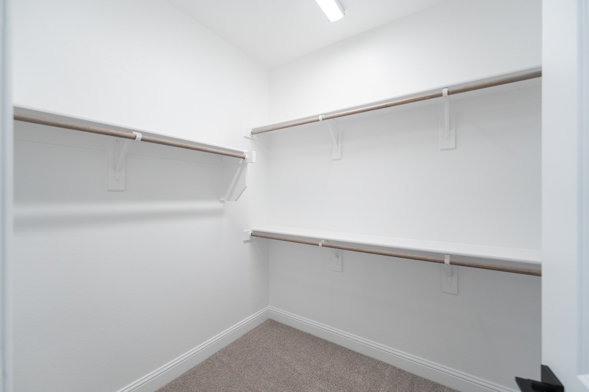 primary bedroom closet with carpet and white shelves