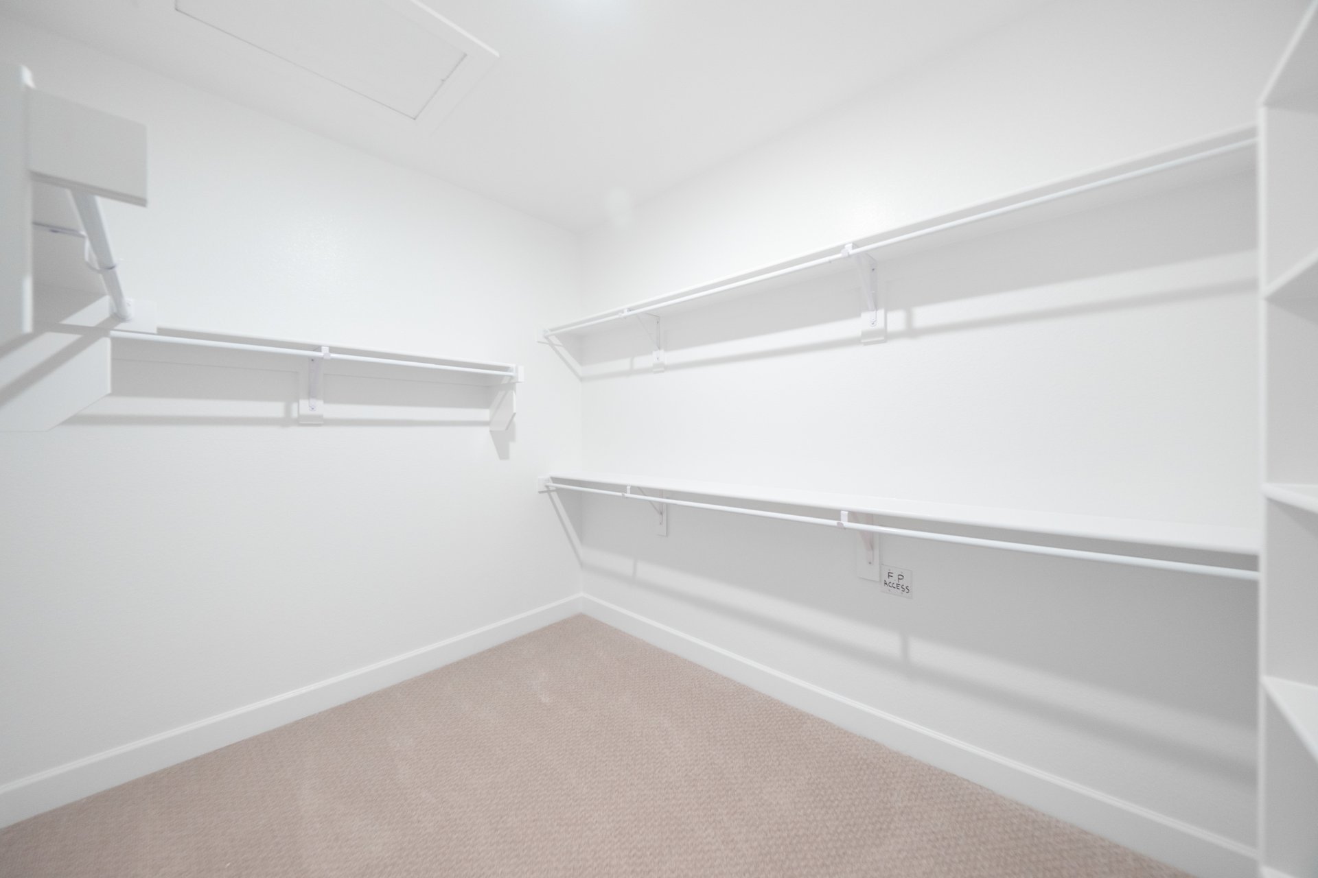 primary closet carpet and shelves