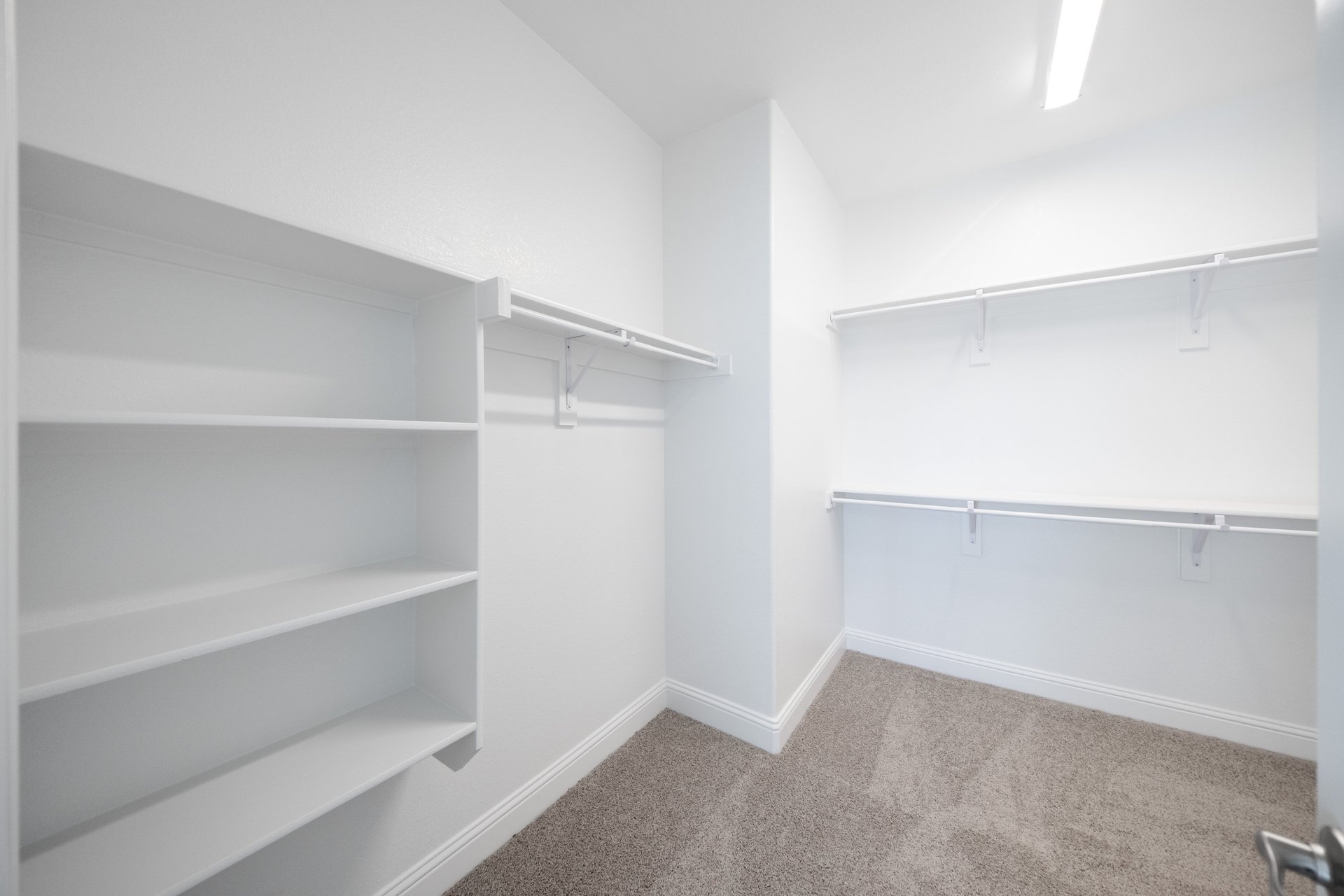 primary bedroom closet with carpet and white shelves