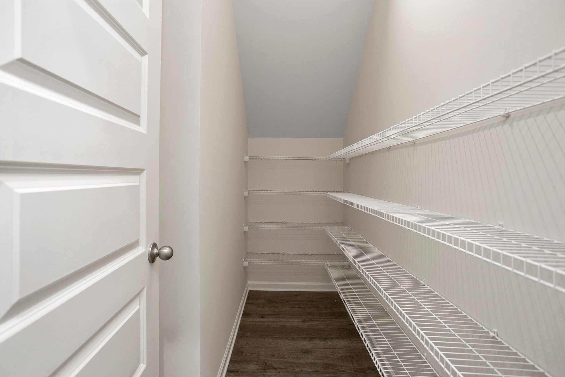 ae81931e-2520-4695-8e76-4711285430ba