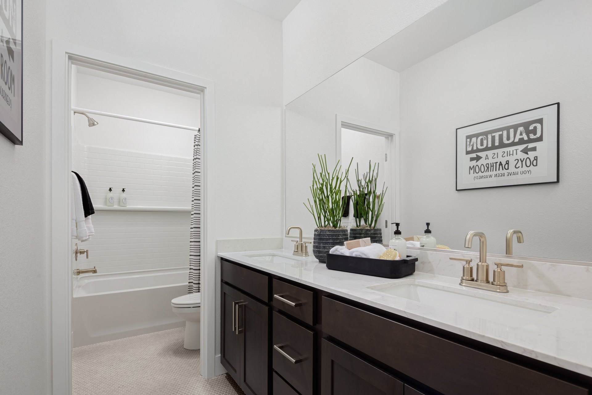 d55822bb-5fbc-41e8-be70-4492fff1e50a