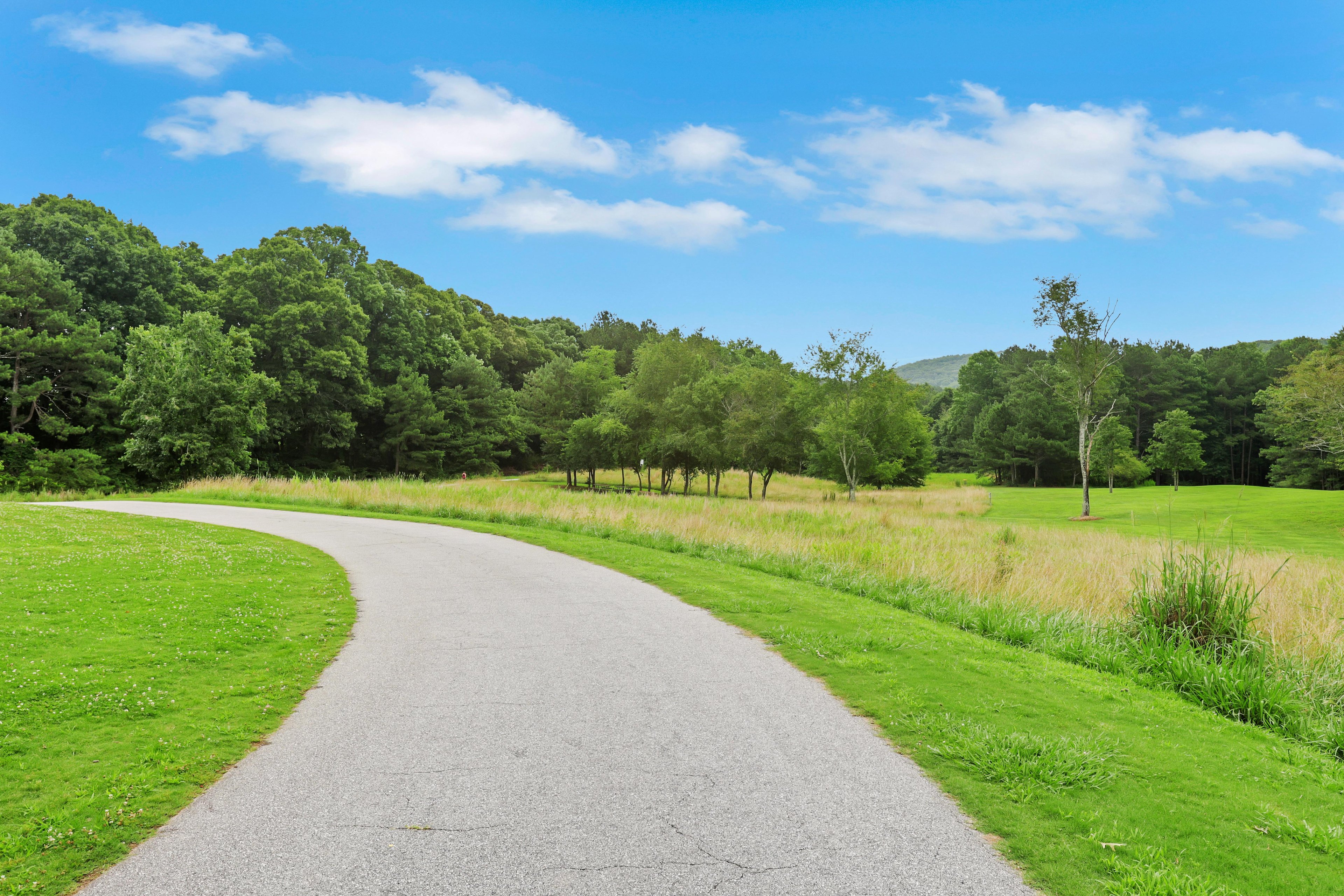 LITTLE_MULBERRY_PARK_029.jpg