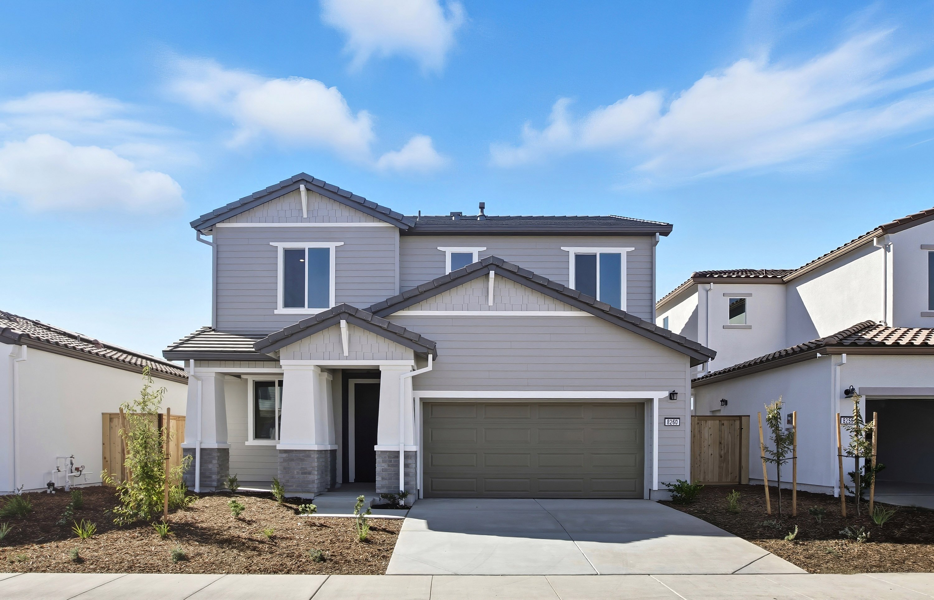 Card image for Blossom