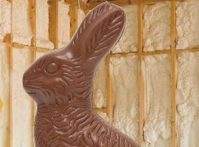 Screenshot 2026-04-06 111913.jpg