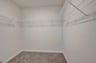 primary walk-in closet with carpet