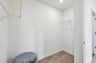 primary walk-in closet with carpet