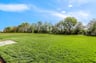 BAckyard.jpg